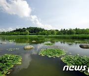 고양시, 일산호수공원 시민참여위원회 위원 공개모집