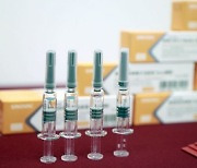 터키, 중국산 코로나 백신 650만회분 추가 반입