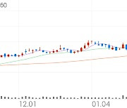 코미코, +14.38% 52주 신고가