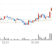 대유, +5.33% 상승폭 확대