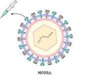 [IBS 코로나19 리포트 시즌2] 어떤 유형의 백신이 코로나19 예방에 도움 되나