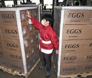 미국산 달걀 긴급 수입