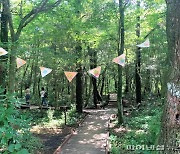서귀포시 '치유의 숲' 보행약자 위한 무장애 나눔길 조성