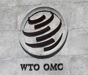 한국 '일본산 스테인리스스틸바 반덤핑 분쟁' WTO 상소