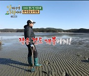 "얄미워" 황선홍 VS "똥손이네" 안정환, 전쟁터 된 갯벌 (안다행)