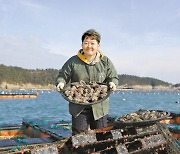 [남도의 맛&멋] 청정 완도에서 양식한 '바다의 산삼 전복'으로 건강을 선물하세요