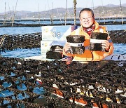 [남도의 맛&멋] 해양수산부 국가중요어업유산 지정..전통방식으로 양식한 명품 '돌김'