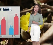[날씨] 오늘도 봄인 듯 '포근'..서울 최고 13도