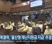 시의회 예결위, '울산형 재난지원금 지급' 추경 가결