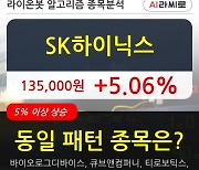 SK하이닉스, 전일대비 5.06% 상승.. 외국인 기관 동시 순매수 중