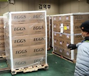 계란값 폭등..긴급 수송된 미국산 계란 [경향포토]