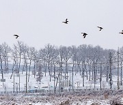 [포토친구] 처인성 설경