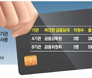 금감원에 파견나간 팀원에 '법카' 쥐어준 민간기관