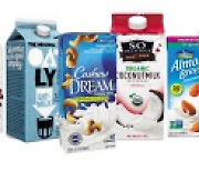 美소비자 39% "식물성 우유, 일반 유제품보다 건강" [aT와 함께하는 글로벌푸드 리포트]