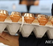 AI 확산으로 계란 가격 급등