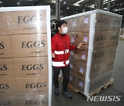 조류독감 여파 계란 공급 부족으로 미국산 계란 긴급수송