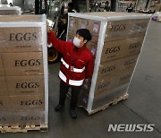 조류독감 여파 계란 공급 부족으로 미국산 계란 긴급수송