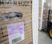 계란 국내 공급 차질, 긴급 수송된 미국산 계란