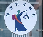 법원 "리얼돌, 풍속 해치는 물품 아냐..수입 허용"