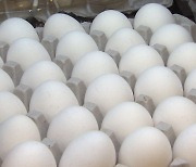 [오늘의 키워드] 치솟는 달걀값..수입으로 가격 안정화되나, 신선도 우려도