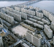 [단독] 서울 아파트 절반 이상 9억 넘어..규제가 고가 확 늘렸다