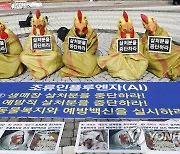 '예방적 살처분은 동물 학대다'