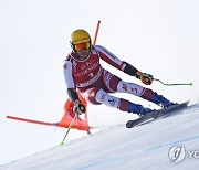 AUSTRIA ALPINE SKIING WORLD CUP