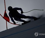 AUSTRIA ALPINE SKIING WORLD CUP