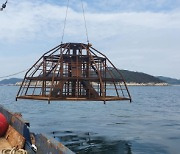 인천 옹진군, 풍요로운 어장 조성위해 지속 가능한 어업 조성
