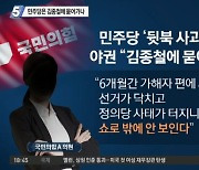 민주당은 김종철에 묻어가나