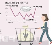 롤러코스터 증시에 현기증..변동성 장세 대처법은