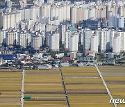 대구 달성군도 풍선효과?..거래량·신고가 '동반 증가'