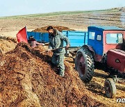 '퇴비전투' 나선 북한 협동농장..올해 농사 준비 박차