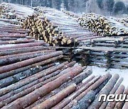 북한, 겨울철 통나무 생산 박차..각지 임산사업소 독려