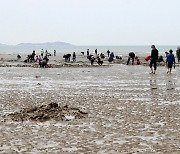 태안군, 몽산포 해변 '불법도구 사용 해루질' 강력 단속