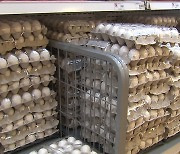 수입 달걀 첫 공매입찰..미국산 내일 시중에 풀린다