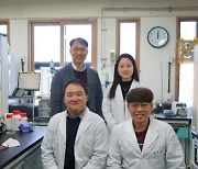 GIST 연구팀, 가볍고 오래가는 리튬황 배터리 개발