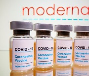 WHO 자문단 "모더나 코로나19 백신 접종 간격 최대 42일까지 확대 가능"