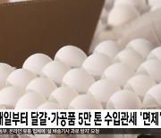 내일부터 달걀·가공품 5만 톤 수입관세 '면제'