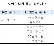 나쁜 맹견은 없다..보험가입 의무화에 맹견보험 출시 '줄줄이'