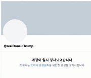 "美대선 조작" 트럼프 지지자 CEO의 계정, 트위터가 날렸다