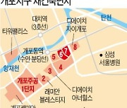 개포6·7단지 재건축 조합 설립..'2년 실거주 의무' 규제 피했다