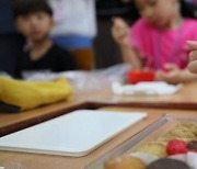국·공립 유치원, 100명이상 사립유치원도 엄격한 학교급식법 적용