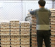 "당장은 안 올리지만.." 곡물·계란 값 인상에 식품업계도 부담