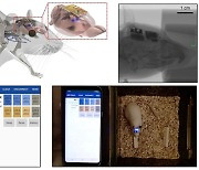 Korean research team develops phone-controlled implantable device for optogenetics