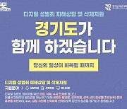 '경기도 디지털성범죄 대응감시단' 성착취물 등 550건 적발