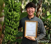 지리산 산청 바나나 국산 유일 유기농 인증 획득