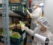 대구 동구청 식품산업과 직원, 식중독 위생상태 점검