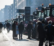 트랙터 몰고 상경 시위 벌이는 독일 농민들