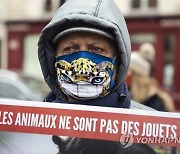France Animal Abuse